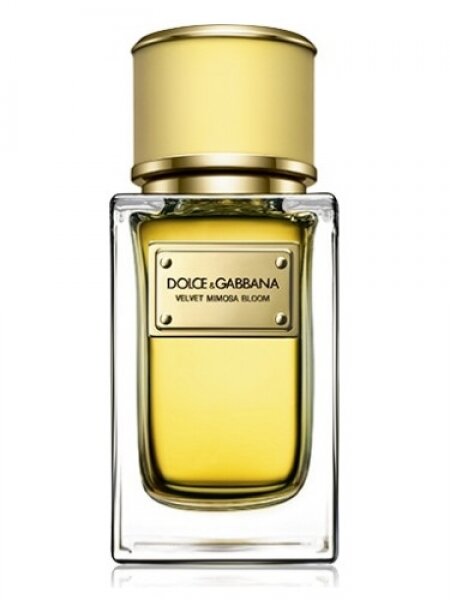 Dolce&Gabbana Velvet Mimosa Bloom EDP 50 ml Kadın Parfümü kullananlar yorumlar
